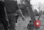 Image of Operation Cedar Falls Vietnam, 1967, second 52 stock footage video 65675026412