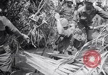 Image of Operation Cedar Falls Vietnam, 1967, second 53 stock footage video 65675026412