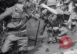 Image of Operation Cedar Falls Vietnam, 1967, second 56 stock footage video 65675026412