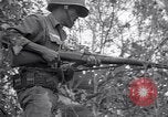 Image of Operation Cedar Falls Vietnam, 1967, second 59 stock footage video 65675026412