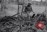 Image of Operation Cedar Falls Vietnam, 1967, second 61 stock footage video 65675026412