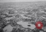 Image baleines blanches Canada, 1967, de la seconde 7 séquences d'archives historiques vidéo 65675026414