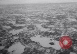 Image baleines blanches Canada, 1967, de la seconde 8 séquences d'archives historiques vidéo 65675026414