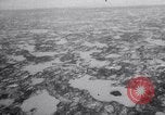Image baleines blanches Canada, 1967, de la seconde 9 séquences d'archives historiques vidéo 65675026414