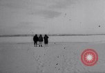 Image baleines blanches Canada, 1967, de la seconde 21 séquences d'archives historiques vidéo 65675026414