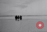 Image baleines blanches Canada, 1967, de la seconde 22 séquences d'archives historiques vidéo 65675026414