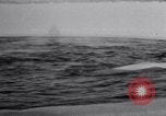 Image baleines blanches Canada, 1967, de la seconde 25 séquences d'archives historiques vidéo 65675026414