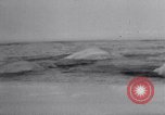 Image baleines blanches Canada, 1967, de la seconde 30 séquences d'archives historiques vidéo 65675026414