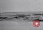 Image baleines blanches Canada, 1967, de la seconde 31 séquences d'archives historiques vidéo 65675026414