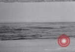 Image baleines blanches Canada, 1967, de la seconde 34 séquences d'archives historiques vidéo 65675026414