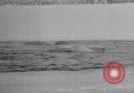 Image baleines blanches Canada, 1967, de la seconde 35 séquences d'archives historiques vidéo 65675026414