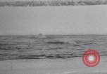 Image baleines blanches Canada, 1967, de la seconde 36 séquences d'archives historiques vidéo 65675026414