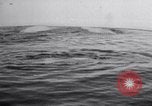 Image baleines blanches Canada, 1967, de la seconde 37 séquences d'archives historiques vidéo 65675026414