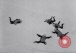 Standbild Royal Air Force Parachute Team Nordafrika, 1967, aus Sekunde 21 historischem Filmmaterial Videoclip 65675026416