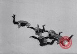 Standbild Royal Air Force Parachute Team Nordafrika, 1967, aus Sekunde 34 historischem Filmmaterial Videoclip 65675026416