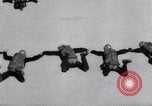 Standbild Royal Air Force Parachute Team Nordafrika, 1967, aus Sekunde 40 historischem Filmmaterial Videoclip 65675026416