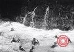 Image Kiama Blow-trou Sydney Australie, 1967, de la seconde 33 séquences d'archives historiques vidéo 65675026418