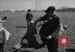 Image of Kite Carnival Washington DC USA, 1967, second 5 stock footage video 65675026441