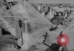 Image of Kite Carnival Washington DC USA, 1967, second 13 stock footage video 65675026441