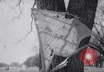 Image of Kite Carnival Washington DC USA, 1967, second 42 stock footage video 65675026441