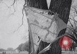 Image of Kite Carnival Washington DC USA, 1967, second 45 stock footage video 65675026441