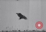 Image of Kite Carnival Washington DC USA, 1967, second 48 stock footage video 65675026441