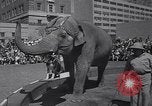 Standbild Ringling Brothers Circus New York United States USA, 1967, aus Sekunde 4 historischem Filmmaterial Videoclip 65675026451