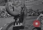 Standbild Ringling Brothers Circus New York United States USA, 1967, aus Sekunde 5 historischem Filmmaterial Videoclip 65675026451