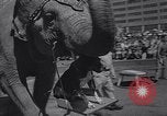 Standbild Ringling Brothers Circus New York United States USA, 1967, aus Sekunde 6 historischem Filmmaterial Videoclip 65675026451