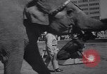Standbild Ringling Brothers Circus New York United States USA, 1967, aus Sekunde 7 historischem Filmmaterial Videoclip 65675026451