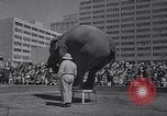 Standbild Ringling Brothers Circus New York United States USA, 1967, aus Sekunde 11 historischem Filmmaterial Videoclip 65675026451