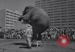 Standbild Ringling Brothers Circus New York United States USA, 1967, aus Sekunde 12 historischem Filmmaterial Videoclip 65675026451