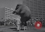 Standbild Ringling Brothers Circus New York United States USA, 1967, aus Sekunde 13 historischem Filmmaterial Videoclip 65675026451