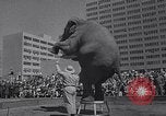 Standbild Ringling Brothers Circus New York United States USA, 1967, aus Sekunde 14 historischem Filmmaterial Videoclip 65675026451