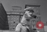 Standbild Ringling Brothers Circus New York United States USA, 1967, aus Sekunde 32 historischem Filmmaterial Videoclip 65675026451