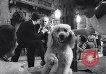 Immagine di Set parigino California United States USA, 1963, secondo 49 filmato di repertorio 65675026468