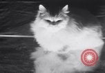 Standbild Atlantic Cat Club Wettbewerb New York United States USA, 1932, aus Sekunde 26 historischem Filmmaterial Videoclip 65675026476