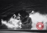 Standbild Atlantic Cat Club Wettbewerb New York United States USA, 1932, aus Sekunde 42 historischem Filmmaterial Videoclip 65675026476