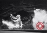 Standbild Atlantic Cat Club Wettbewerb New York United States USA, 1932, aus Sekunde 48 historischem Filmmaterial Videoclip 65675026476