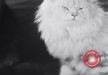Standbild Atlantic Cat Club Wettbewerb New York United States USA, 1932, aus Sekunde 54 historischem Filmmaterial Videoclip 65675026476