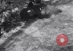 Immagine di Cane e oca lotta Panama City Florida USA, 1932, secondo 58 filmato di repertorio 65675026480