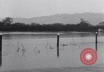 Immagine di Flood Watsonville California USA, 1932, secondo 32 filmato di repertorio 65675026481