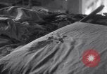 Image of Webster Thayer's Worcester Massachusetts USA, 1932, second 36 stock footage video 65675026489