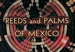 Image of reed and palm Mexico, 1941, second 7 stock footage video 65675026499