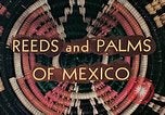 Image of reed and palm Mexico, 1941, second 8 stock footage video 65675026499