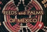 Image of reed and palm Mexico, 1941, second 9 stock footage video 65675026499