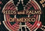 Image of reed and palm Mexico, 1941, second 10 stock footage video 65675026499