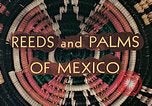 Image of reed and palm Mexico, 1941, second 11 stock footage video 65675026499