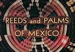 Image of reed and palm Mexico, 1941, second 12 stock footage video 65675026499