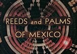 Image of reed and palm Mexico, 1941, second 13 stock footage video 65675026499